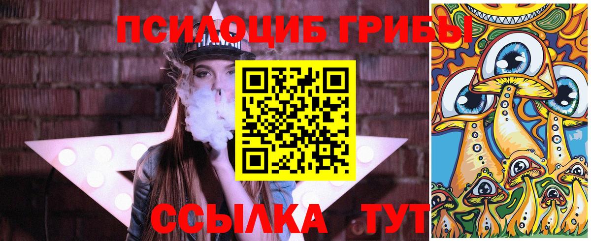 Красноярск  Псилоцибиновые грибы MAGIC MUSHROOMS  Вход с VPN 
