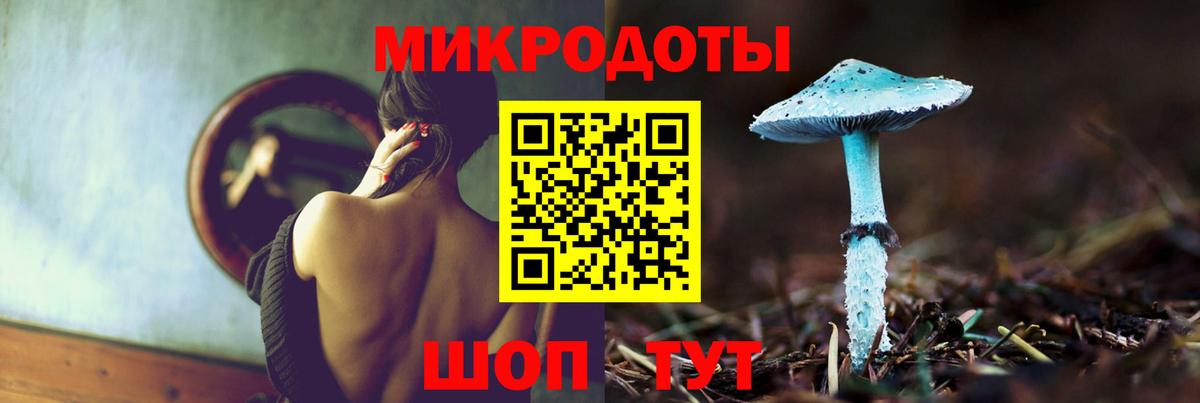 Галлюциногенные грибы Psilocybine cubensis Красноярск
